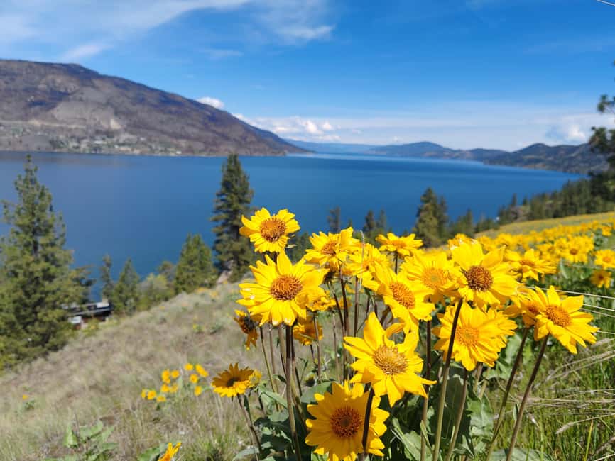 image n.10 of Kelowna: E-Bike Bee Tour w/ Tastings, Lunch, and Audioguide activity in Kelowna, uploaded by supplier
