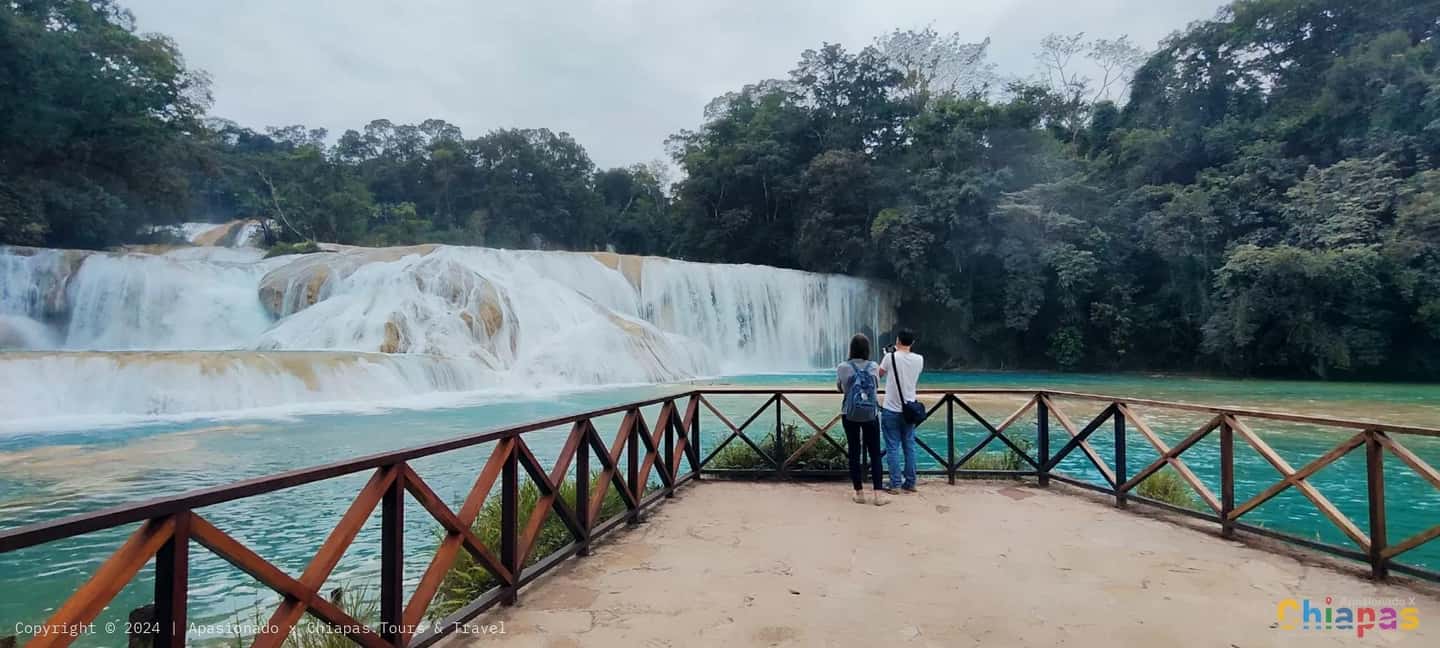 image n.6 of From Palenque: Misol-Ha & Agua Azul Waterfalls Day Tour activity in Chiapas, uploaded by supplier