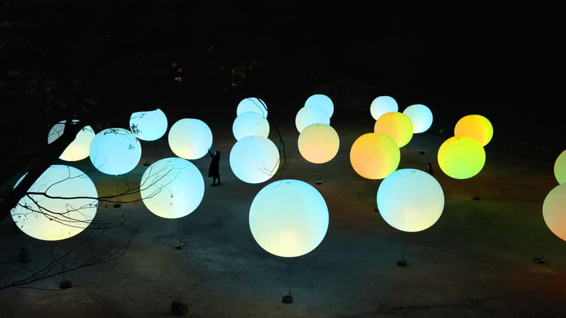 Image N°10 de Osaka : ticket d'entrée au jardin botanique teamLab activité à Osaka, publiée par le prestataire