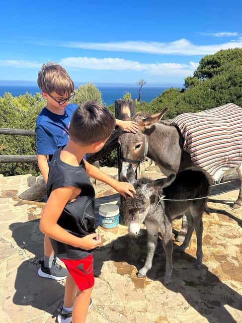 imagem n.10 de Tour particular de luxo em Tânger a partir de Marbella com tudo incluído atividade em Tânger, carregada pelo fornecedor