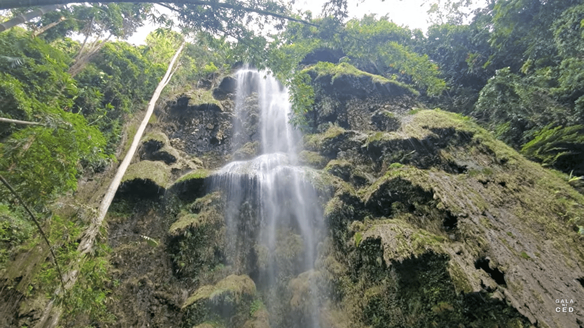 imagem n.17 de Oslob: Tubarões-baleia, Cataratas de Tumalog e Sumilon Trio Adventure atividade em Oslob, carregada pelo fornecedor