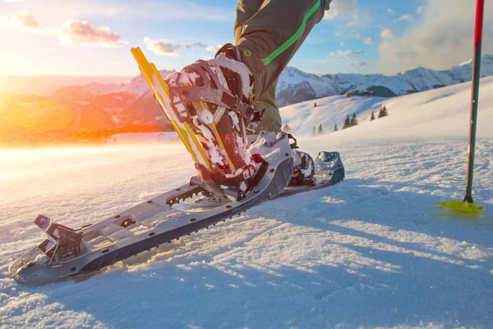 image n.3 of Abisko: Wilderness Snowshoe Hike activity in Norrbotten County, uploaded by supplier