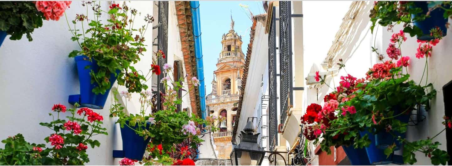 image n.2 of From Seville: Cordoba Full-Day Tour with Tickets Included activity in Córdoba, uploaded by supplier