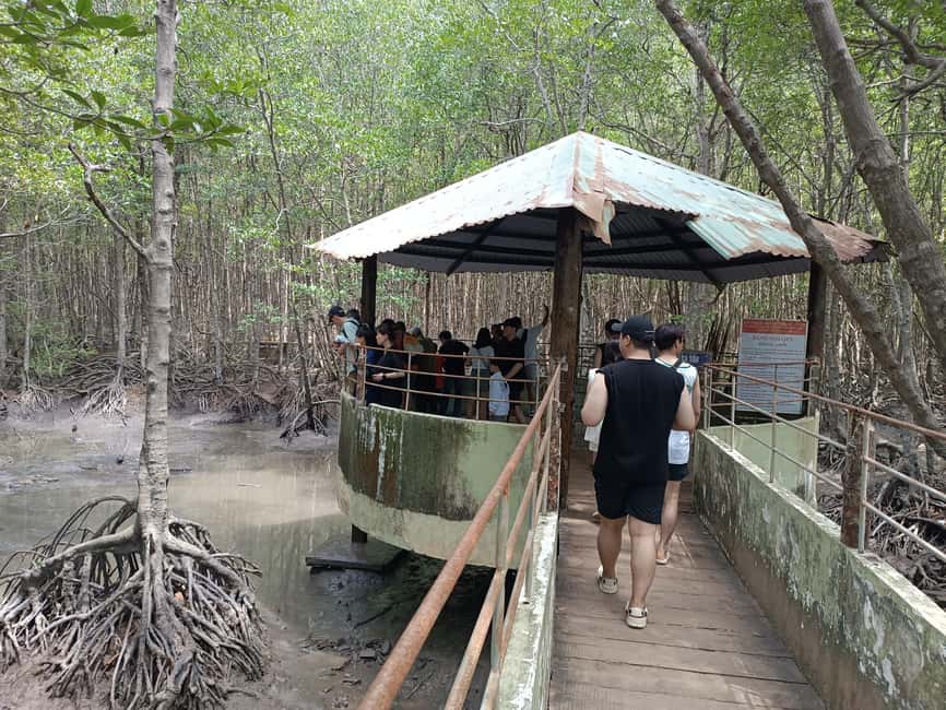 Immagine nº 12 di Da Ho Chi Minh City: Mangrovie di Can Gio e trekking sull'Isola delle Scimmie attività a Città di Ho Chi Minh, caricata dal fornitore