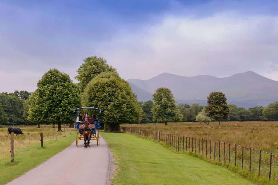 image n.6 of Killarney: Views & Brews Jaunting in Killarney National Park activity in Munster, Ireland, uploaded by supplier