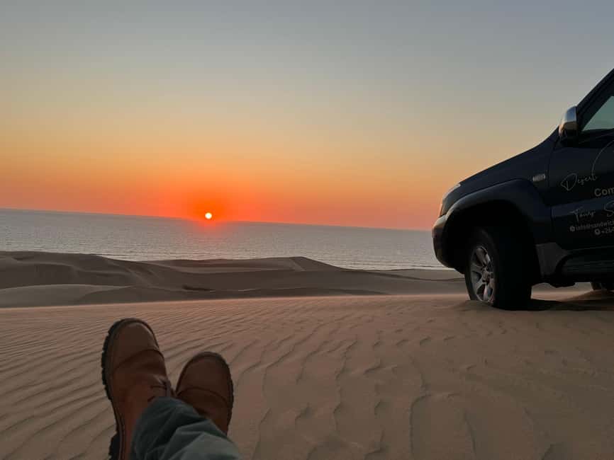 image n.30 of Walvisbay: Sandwich Harbour 4x4 Tour-Unparalleled Experience activity in Erongo, uploaded by supplier
