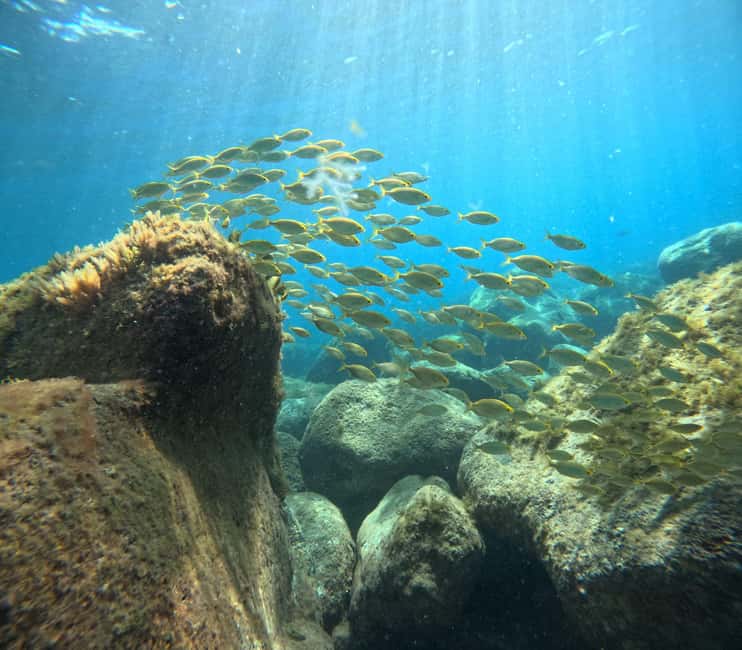 image n.1 of Gran Canaria: Snorkel tour with boat on the west coast activity in Lomo Quiebre, uploaded by supplier