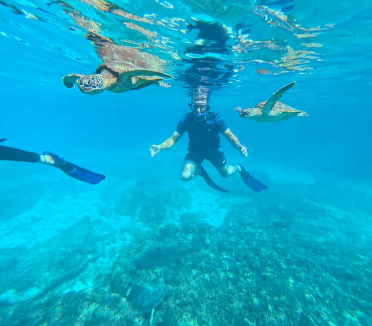 Immagine nº 10 di Tour pomeridiano di snorkeling delle isole Dimaniyat attività a Mascate, caricata dal fornitore