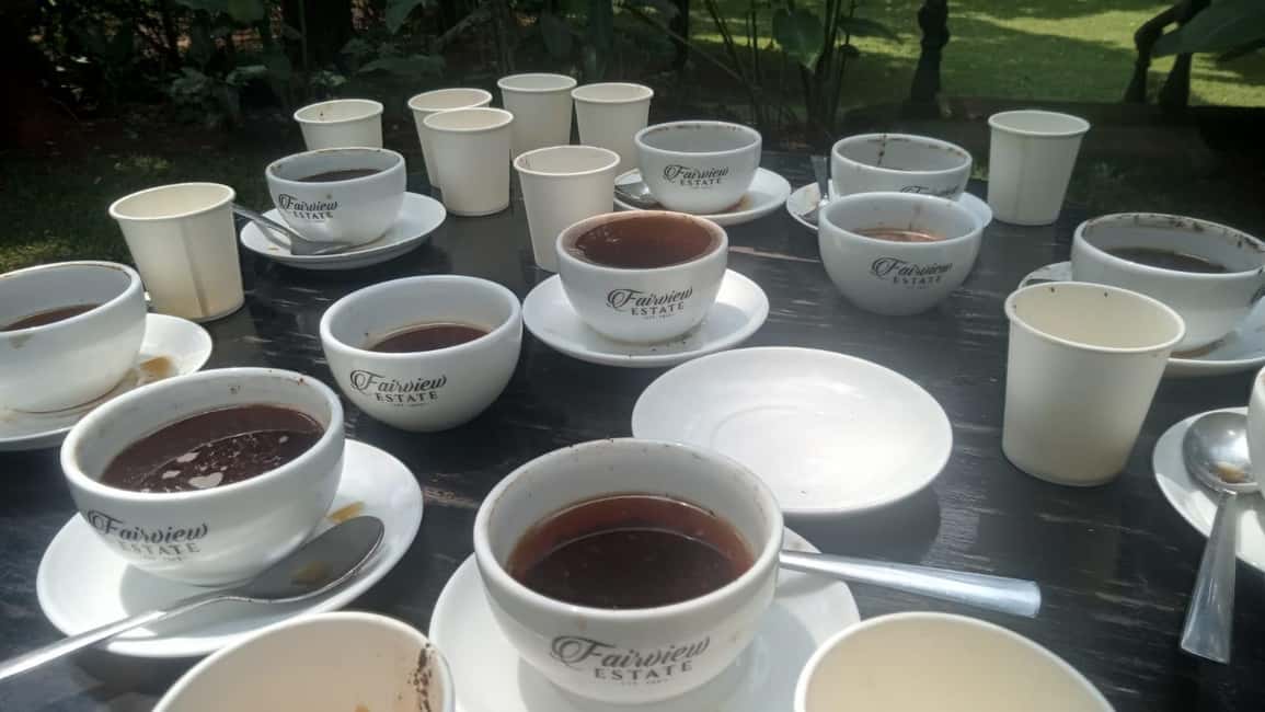 image n.44 of Coffee Farm Tour (Fairview) activity in Kiambu, uploaded by supplier