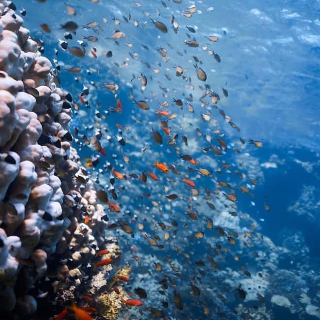 image n.8 of Fethiye: Fly and Dive, Paragliding and Scuba Diving Together, Transfer Included activity in Aegean Coast Region, Turkey, uploaded by supplier