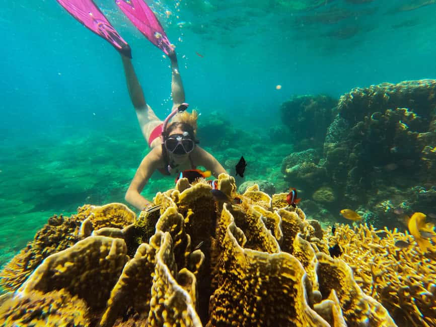 afbeelding n.1 van Privétour snorkelen Gili Gede, GIli Asahan, Gili Goleng activiteit in West-Nusa Tenggara, geüpload door aanbieder