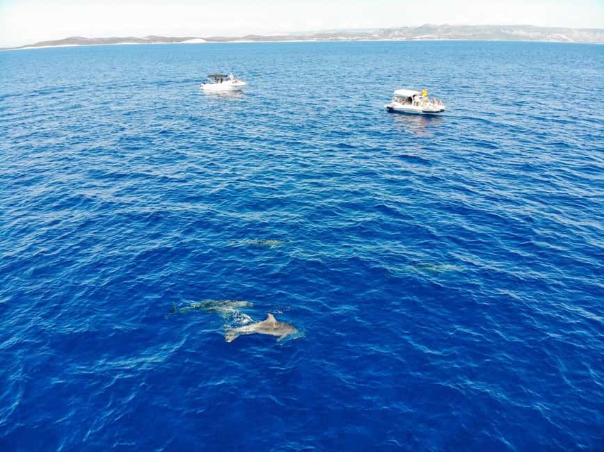 billede nr.14 af aktiviteten Fra Trogir: 3 øer halvdagstur med Blå Lagune i Dalmatien, uploadet af udbyder