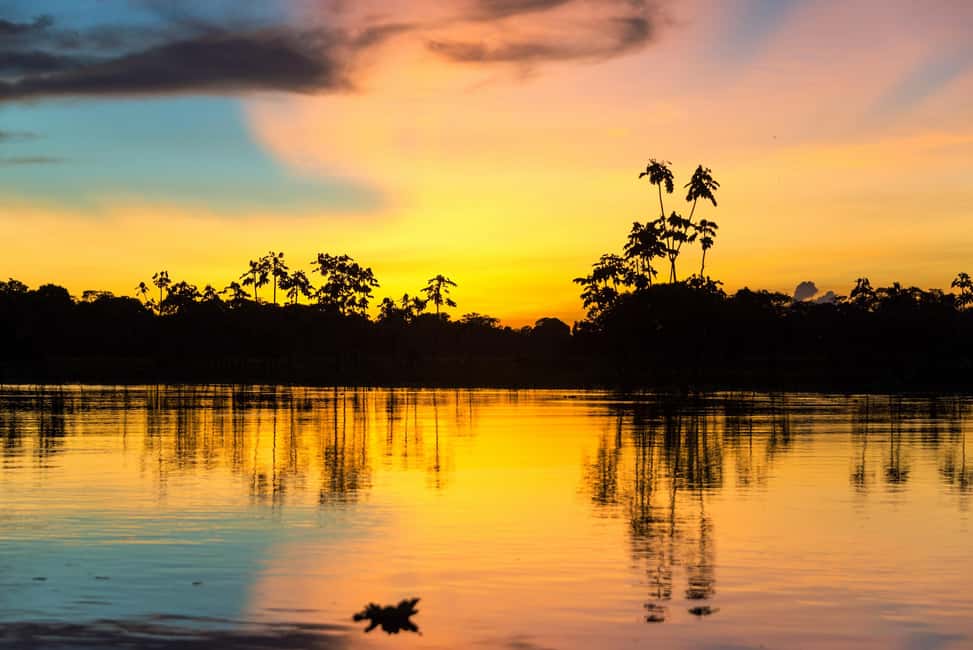image n.5 of Iquitos | Amazon Tour | 4D/3N in Amazon Rainforest Jungle activity in Huanuco Region, uploaded by supplier