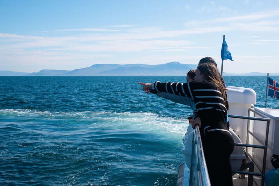image n.19 of Reykjavik: Best Value Whale Watching Boat Tour activity in Reykjavik, uploaded by supplier