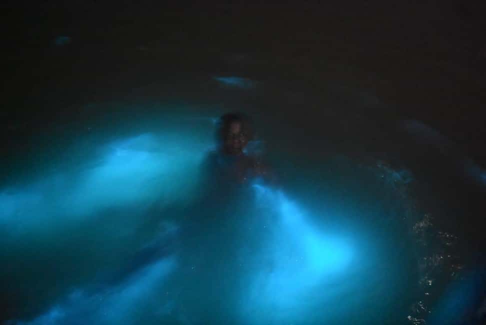 imagem n.4 de De Montego Bay: Tour noturno pela Lagoa Luminosa atividade em Falmouth, carregada pelo fornecedor