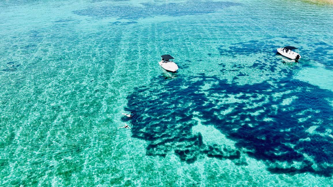 image n.45 of From Split/Trogir: Blue Lagoon & 2 Islands half-day Private activity in Dalmatia, uploaded by supplier