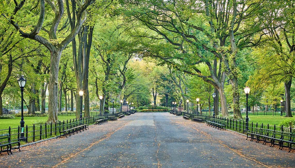 imagem n.14 de NYC: excursão guiada pelos destaques do Central Park atividade em Nova Iorque, enviada pelo fornecedor