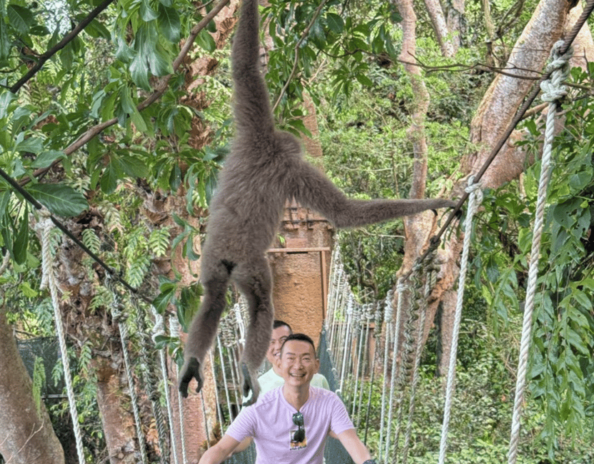 billede nr.4 af aktiviteten Kota Kinabalu: 4-dages tur, natur, flod og by i Ranau, uploadet af udbyder