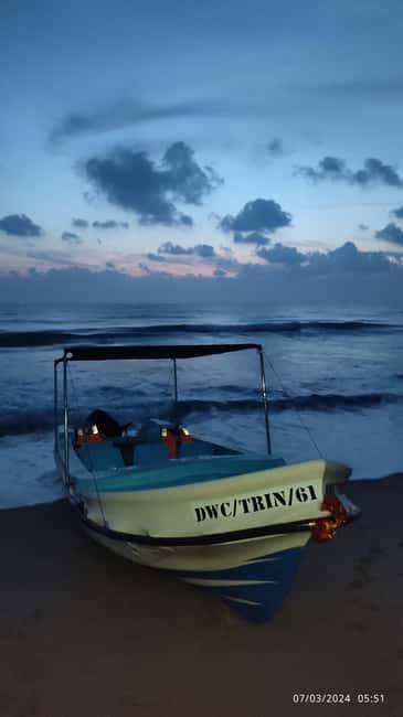 image n.7 of Trincomalee: Dolphin & Whale Watching Boat Tour activity in Nilaveli, uploaded by supplier