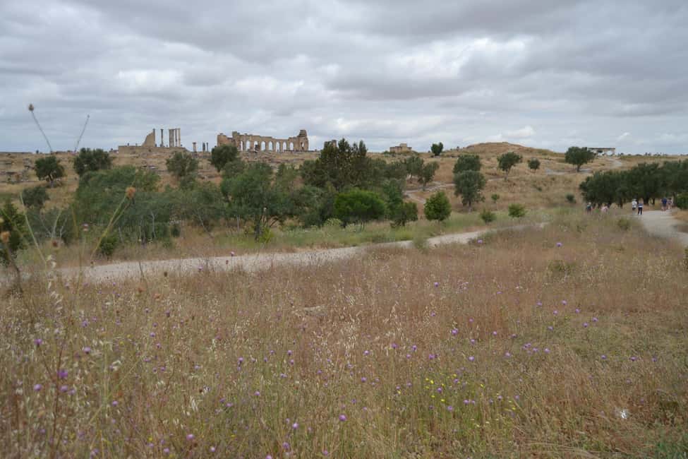 billede nr.17 af aktiviteten Dagstur fra Fes til Volubilis via Meknes og Moulay Idriss i Meknès, uploadet af udbyder