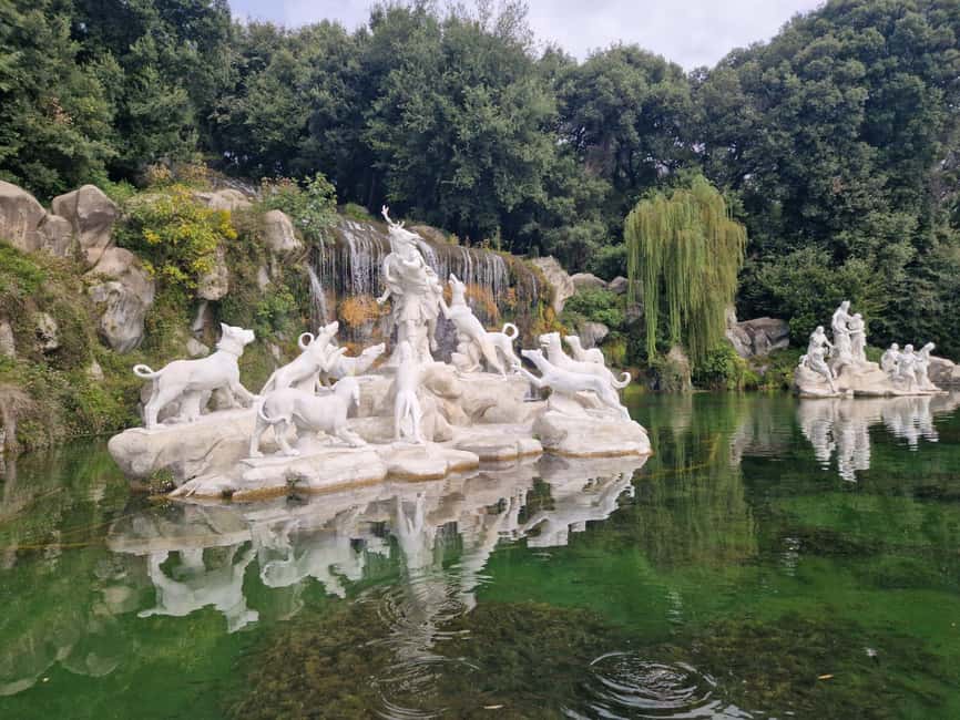 immagine n.2 di Caserta: Visita guidata alla Reggia di Caserta attività in Caserta, caricata dal fornitore