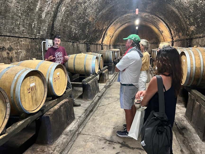 Bild Nr. 3 von Bio-Wein- und Lebensmittelverkostung in der historischen Fattoria Majnoni Aktivität in San Gimignano, hochgeladen vom Anbieter