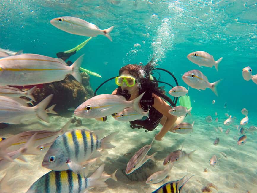 image n.4 of Maracajau Parrachos Reef: Mask and Snorkel swim adventure activity in Natal, uploaded by supplier