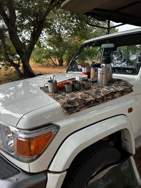 image n.47 of Chobe National Park: 3-Hour Game Drive activity in Kasane, uploaded by supplier