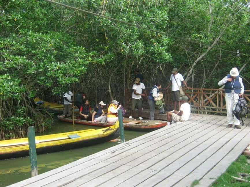 image n.5 of Cartagena: Sail in the mangroves of Cartagena activity in Cartagena, uploaded by supplier