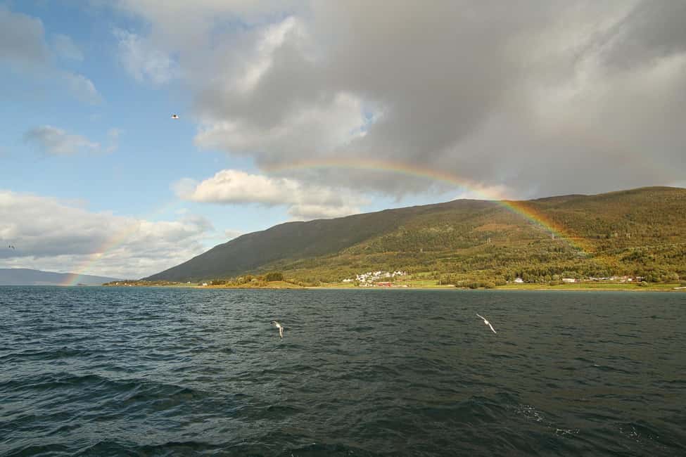 image n.24 of Tromsø’s Top-Rated Fjord & Fishing Cruise – All-Inclusive activity in Barents Sea, uploaded by supplier