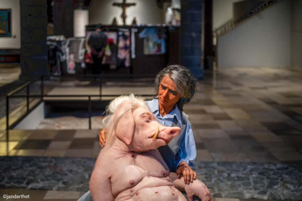 afbeelding n.14 van Brugge: Musea Brugge Card met toegang tot 11 musea activiteit in Brugge, geüpload door aanbieder