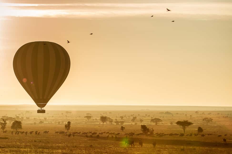 Image N°19 de Parc national du Serengeti : Safari en montgolfière à l'aube activité à Région de Mara, publiée par le prestataire