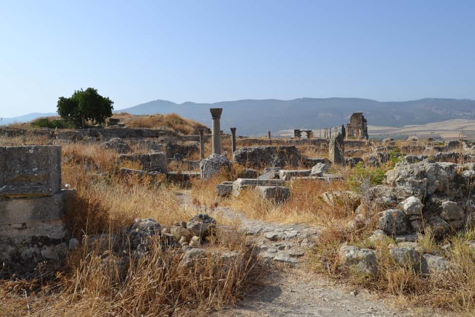 billede nr.76 af aktiviteten Dagstur fra Fes til Volubilis via Meknes og Moulay Idriss i Meknès, uploadet af udbyder
