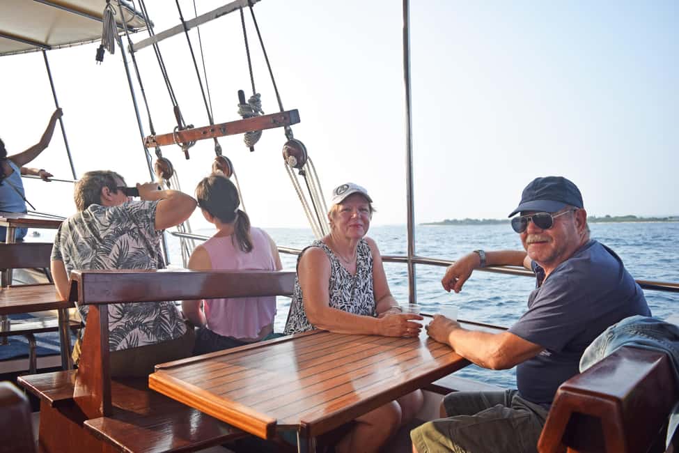 Bild Nr. 6 von Fazana: Delfinjagd auf den Brijuni-Inseln Safari mit Abendessen Aktivität in Pula, Kroatien, hochgeladen vom Anbieter