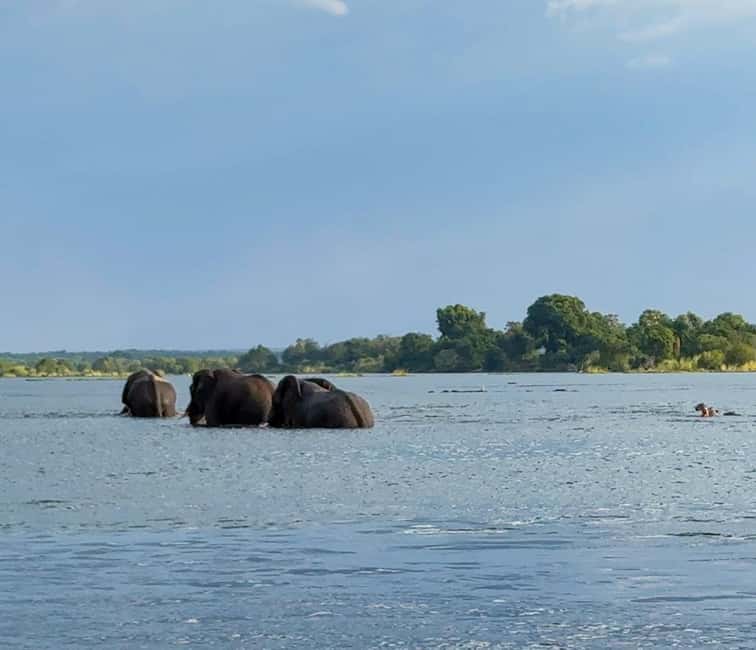 image n.7 of Victoria Falls: Sunset Cruise on the Zambezi River activity in Victoria Falls Town, uploaded by supplier