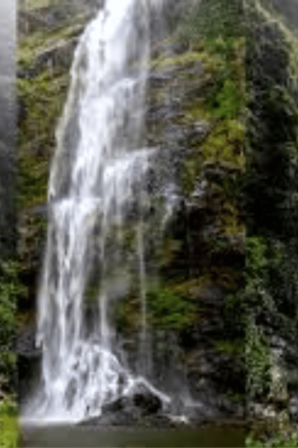 image n.4 of Accra: Wli falls & Mona Monkey Sanctuary activity in Volta Region, uploaded by supplier