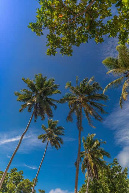 image n.41 of Praslin: Sister & Coco Island Full-Day Cruise and Creole BBQ activity in Mahé, uploaded by supplier