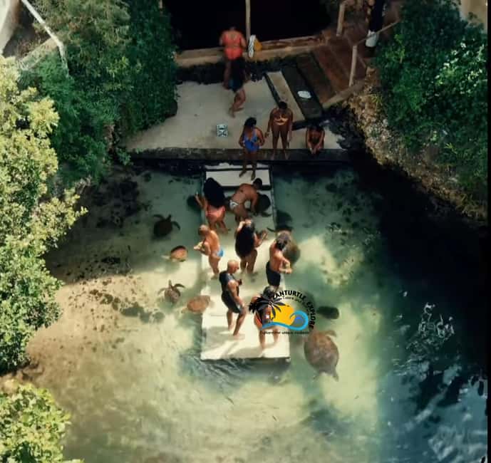 image n.24 of Nungwi: Swimming with Turtles at The Lagoons Zanzibar activity in Zanzibar City, uploaded by supplier
