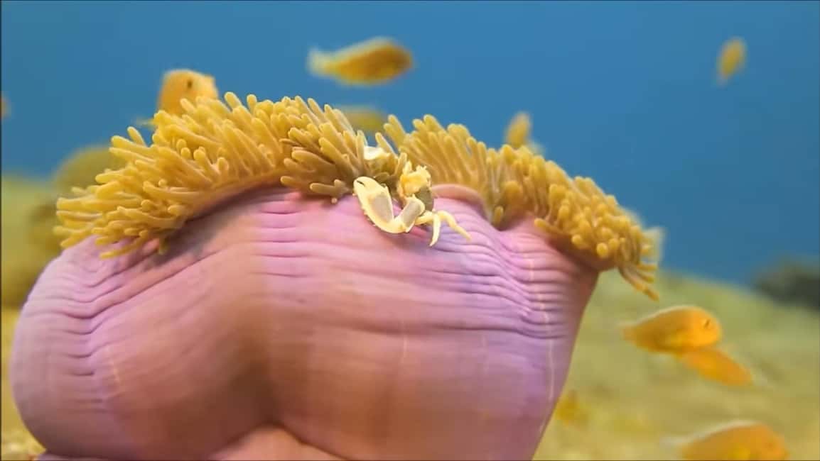 imagem n.4 de Montego Bay: Excursão particular de 1 dia para Negril atividade em Negril, carregada pelo fornecedor