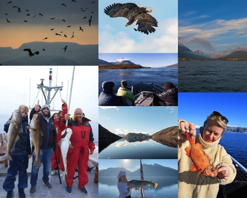 image n.3 of Tromsø’s Top-Rated Fjord & Fishing Cruise – All-Inclusive activity in Barents Sea, uploaded by supplier