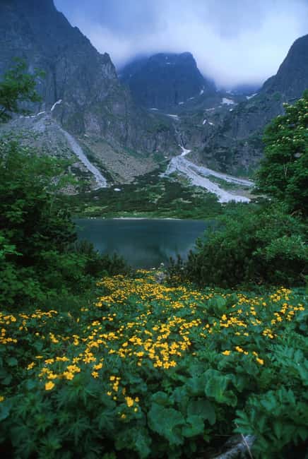Obraz nr 10 z atrakcji Wędrówki w Parku Narodowym Wysokie Tatry, Słowacja w Poprad, przesłany przez organizatora