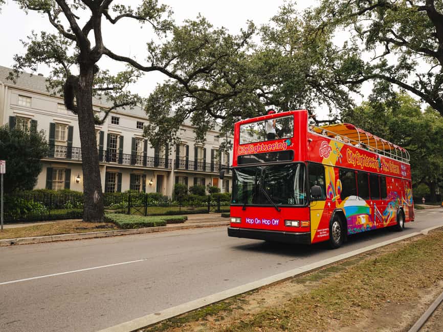 Immagine nº 5 di New Orleans: tour di 2 o 3 giorni in autobus Hop-on Hop-off con tour a piedi attività a New Orleans, caricata dal fornitore