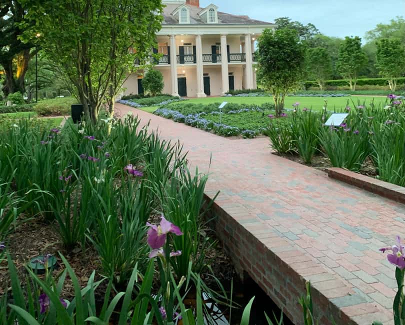 Immagine nº 13 di New Orleans: Tour della palude di Bayou e tour della piantagione di Oak Alley attività a Vacherie, Louisiana, caricata dal fornitore