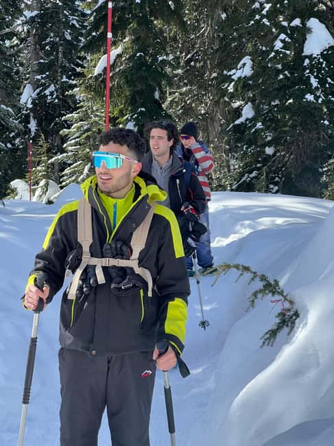 image n.14 of Vancouver: North Shore Mountains Snowshoeing with Transfer activity in West Vancouver, uploaded by supplier