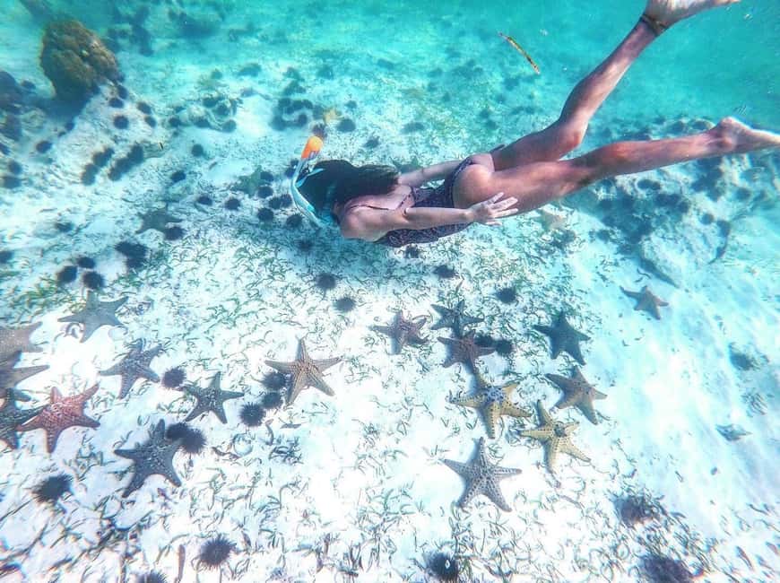 image n.2 of Zanzibar: Blue lagoon, Starfish, Paje Beach and Maalum Cave activity in Pingwe, uploaded by supplier
