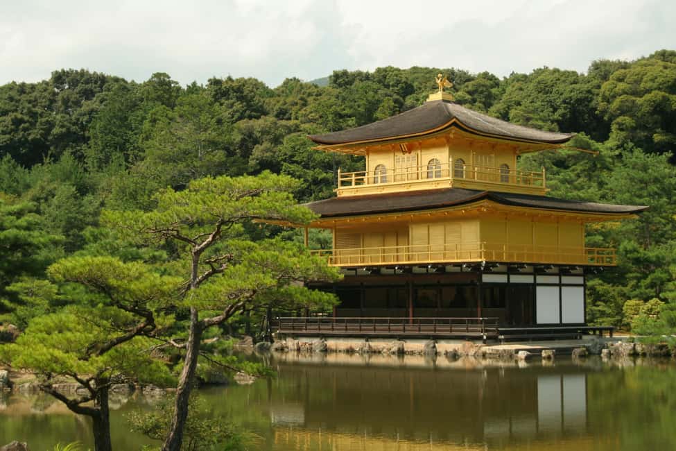 Immagine nº 5 di Da Tokyo: Tour privato di 7 giorni di Tokyo, Kyoto, Osaka e Nikko attività a Tokyo, caricata dal fornitore