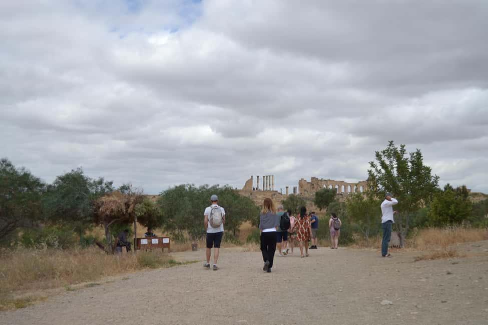 billede nr.14 af aktiviteten Dagstur fra Fes til Volubilis via Meknes og Moulay Idriss i Meknès, uploadet af udbyder