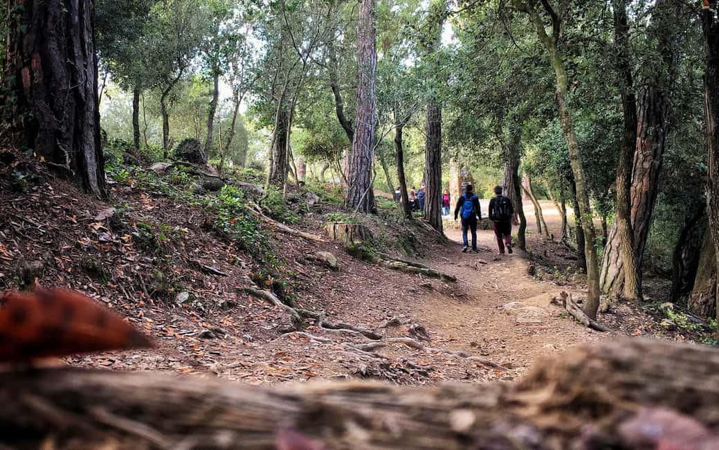 afbeelding n.2 van Het geheime bos van Barcelona: Natuurwandeling & mooiste uitzichten activiteit in Barcelona, geüpload door aanbieder