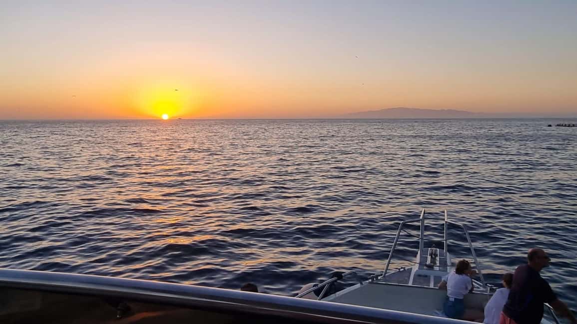 image n.11 of Los Cristianos: Eco Yacht Whale Watching Tour at Sunset activity in Canary Islands, uploaded by supplier