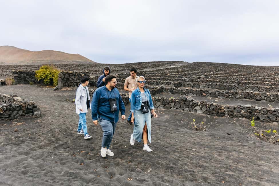 image n.9 of Wine Lovers: Wine Tasting Tour at El Grifo Bodega Lanzarote activity in San Bartolomé, uploaded by supplier